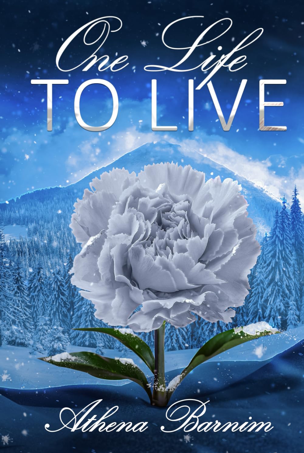 One Life to Live Book Box