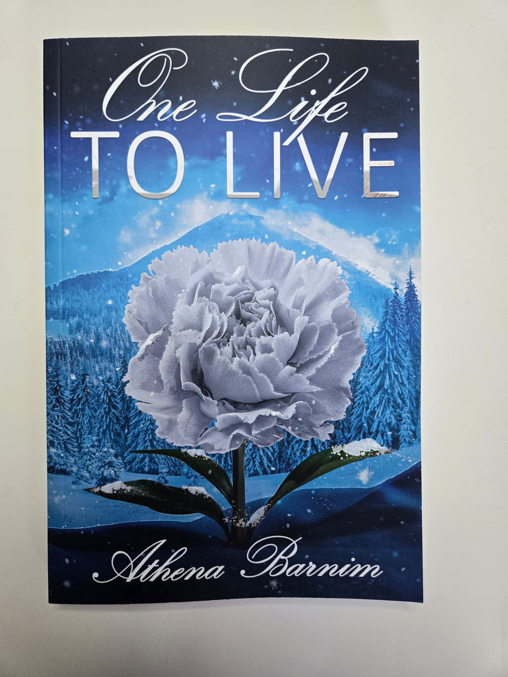 Romance Book Box: One Life to Live