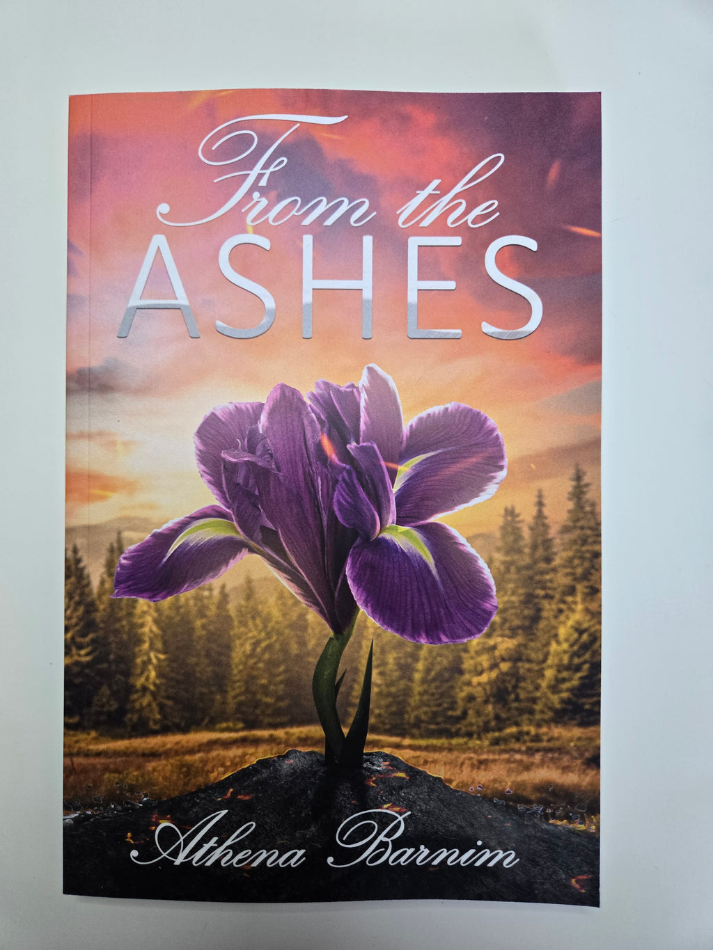 Romance Book Box: From the Ashes